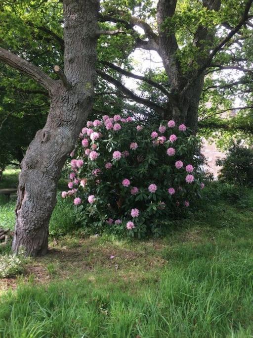 La Forge De La Coudraie Bed & Breakfast Pleugueneuc ภายนอก รูปภาพ